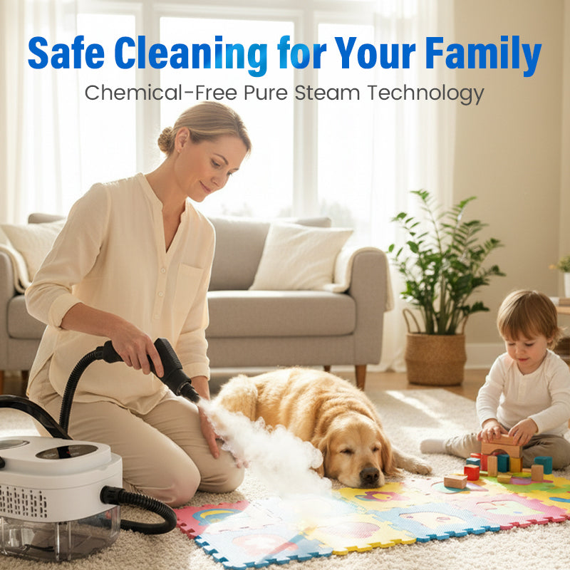 [Free Shipping] Multifunctional High-Temperature Steam Cleaner for Home